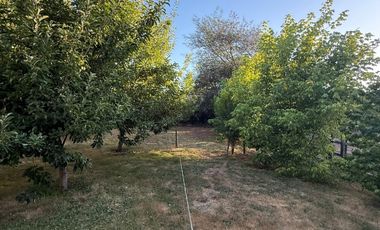 Casa en parcela de 6000M2 sector Los Robles camino a Coihueco Chillán