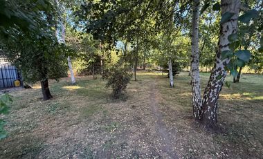 Casa en parcela de 6000M2 sector Los Robles camino a Coihueco Chillán