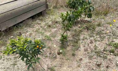 vendo terreno en Ricaurte a 4 minutos del centro