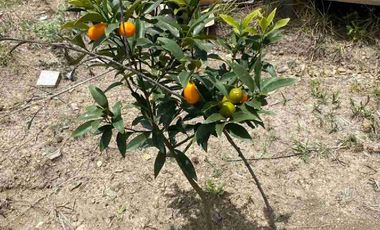 vendo terreno en Ricaurte a 4 minutos del centro