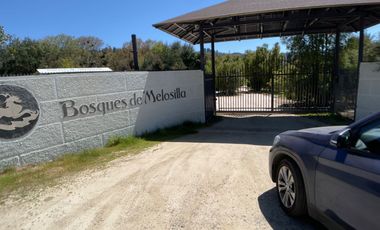 Casa Autosustentable