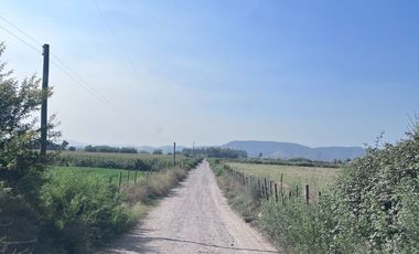 🌾 Campo Agrícola de 15 Hectáreas en Venta – Sector Codigua, Comuna de Melipilla 🌾