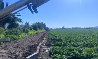Campo de 17 Hectáreas en El Paico, Comuna de El Monte 🌿