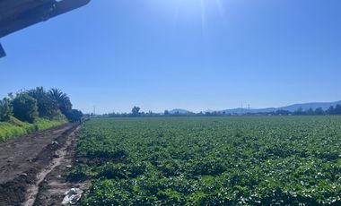 Campo de 17 Hectáreas en El Paico, Comuna de El Monte 🌿