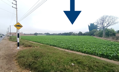 Terreno en Huaral, ubicado estratégicamente para inversión