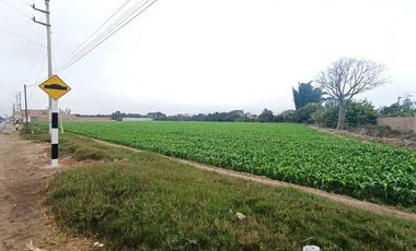 Terreno en Huaral, ubicado estratégicamente para inversión