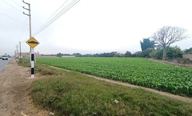 Terreno en Huaral, ubicado estratégicamente para inversión