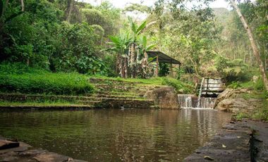 VENDO FINCA LA FORTUNA  MIAN, OMIA, RODRIGUEZ DE MENDOZA AMAZONAS.
