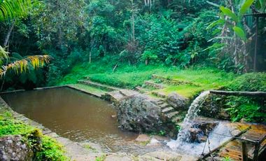 VENDO FINCA LA FORTUNA  MIAN, OMIA, RODRIGUEZ DE MENDOZA AMAZONAS.