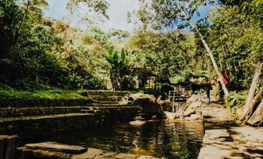 VENDO FINCA LA FORTUNA  MIAN, OMIA, RODRIGUEZ DE MENDOZA AMAZONAS.