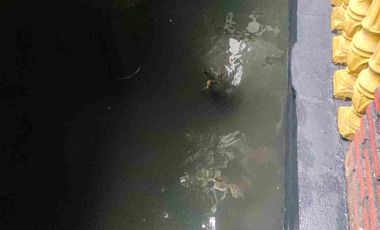 Rumah Murah 2 Lantai Pinggir Jalan Besar Bonus 2 Toko