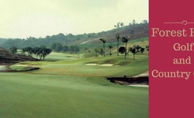 Residential lot for sale!  Eastland Heights (Forrest Hill Resort & Golf  Country Club)  in Antipolo, Rizal.