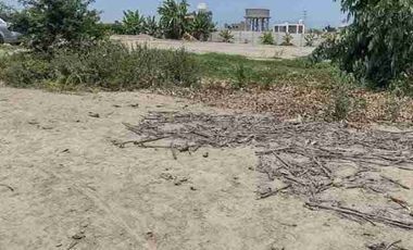 Vendo terreno de 7,600m2 en Asia Cañete a espalda de la Municipalidad
