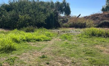 Arriendo casa grande en parcela de 5000 aprox...