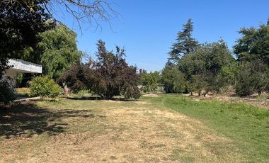 Arriendo casa grande en parcela de 5000 aprox...