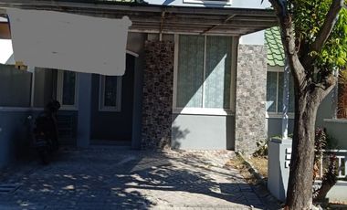 Disewakan Rumah Citraland Murah