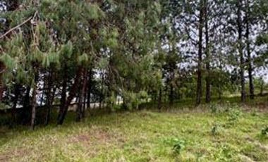 Terreno de venta en Otavalo sector Lomatica, ideal para casa de campo