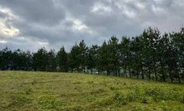 Terreno de venta en Otavalo sector Lomatica, ideal para casa de campo