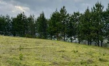 Terreno de venta en Otavalo sector Lomatica, ideal para casa de campo