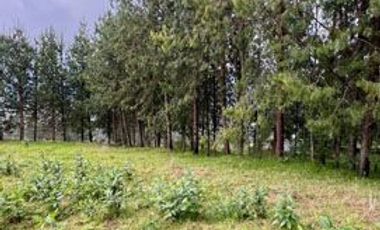 Terreno de venta en Otavalo sector Lomatica, ideal para casa de campo