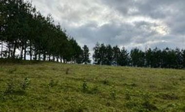 Terreno de venta en Otavalo sector Lomatica, ideal para casa de campo