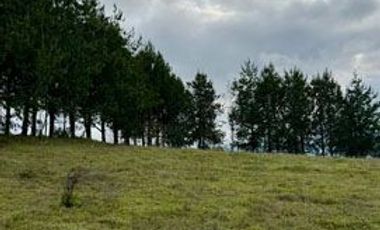 Terreno de venta en Otavalo sector Lomatica, ideal para casa de campo