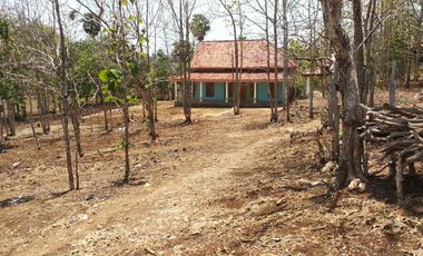 Freehold Land 4,381 sqm for Sale in Bungkeng Tanjung Bumi Bangkalan – IDR 585 Million