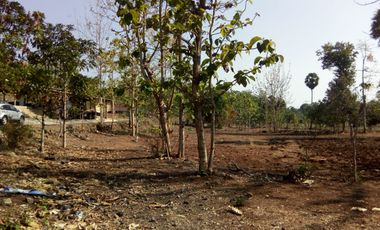 Freehold Land 4,381 sqm for Sale in Bungkeng Tanjung Bumi Bangkalan – IDR 585 Million