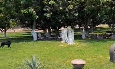 TERRENO HECTÁREAS EN VENTA