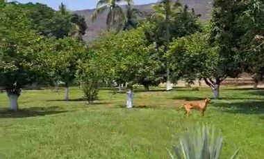 TERRENO HECTÁREAS EN VENTA