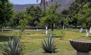 TERRENO HECTÁREAS EN VENTA