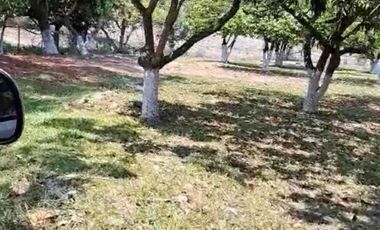 TERRENO HECTÁREAS EN VENTA