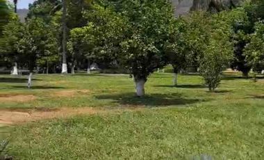 TERRENO HECTÁREAS EN VENTA