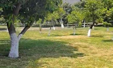 TERRENO HECTÁREAS EN VENTA