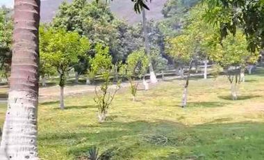 TERRENO HECTÁREAS EN VENTA