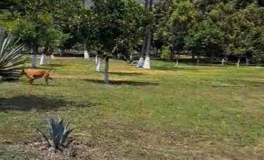 TERRENO HECTÁREAS EN VENTA