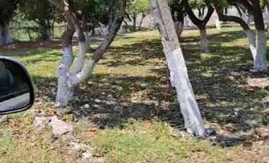 TERRENO HECTÁREAS EN VENTA