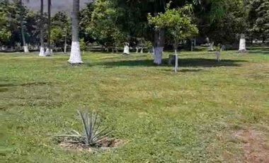 TERRENO HECTÁREAS EN VENTA