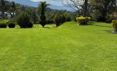 Casa en renta con 2000 metros de jardín Acatitlan
