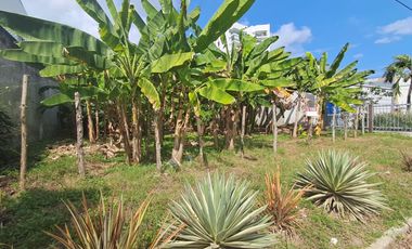 LOTE  EN VENTA SECTOR EL RECREO MONTERIA