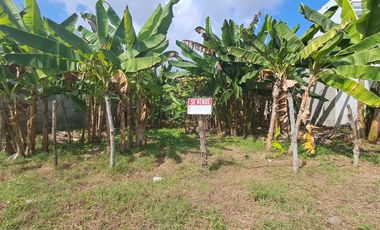 LOTE  EN VENTA SECTOR EL RECREO MONTERIA
