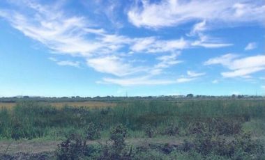 ¡OPORTUNIDAD ÚNICA! Macrolote de 75,000 m² en Venta: Sector Barranca, Nuevo Gran Samborondón | El Futuro del Desarrollo Urbanístico y Comercial