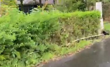 FOR SALE RUMAH DAN TANAH SANGAT LUAS VIEW GUNUNG IJEN  UDARA YANG BAGUS