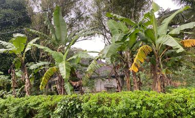 FOR SALE RUMAH DAN TANAH SANGAT LUAS VIEW GUNUNG IJEN  UDARA YANG BAGUS