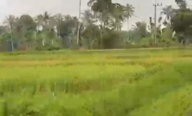 FOR SALE RUMAH DAN TANAH SANGAT LUAS VIEW GUNUNG IJEN  UDARA YANG BAGUS