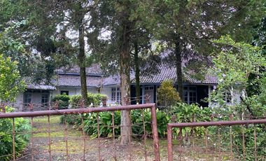 FOR SALE RUMAH DAN TANAH SANGAT LUAS VIEW GUNUNG IJEN  UDARA YANG BAGUS