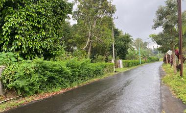 FOR SALE RUMAH DAN TANAH SANGAT LUAS VIEW GUNUNG IJEN  UDARA YANG BAGUS