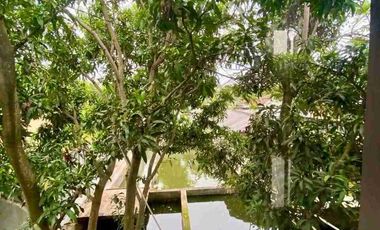 Rumah Mewah Luas 873m2 + Kolam Ikan Bumi Rakata Asri Cilegon Banten