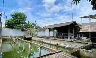 Rumah Mewah Luas 873m2 + Kolam Ikan Bumi Rakata Asri Cilegon Banten