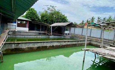 Rumah Mewah Luas 873m2 + Kolam Ikan Bumi Rakata Asri Cilegon Banten